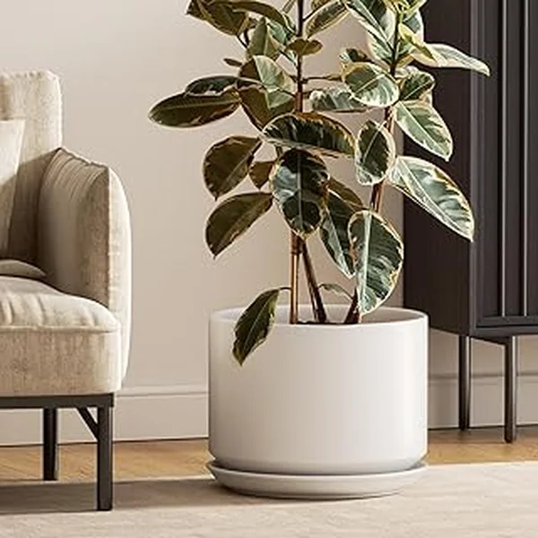 Tauci Ceramic Century Planters Drainage