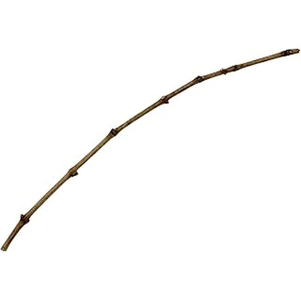 Grape Vine Cutting Merlot Clone