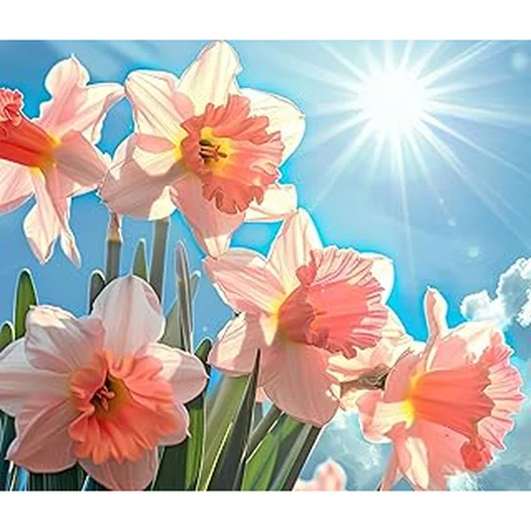 Pink Party Daffodil Bulbs Planting