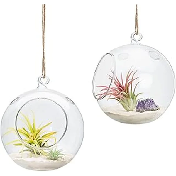 Mkono Terrarium Decorations Succulent Tillandsia