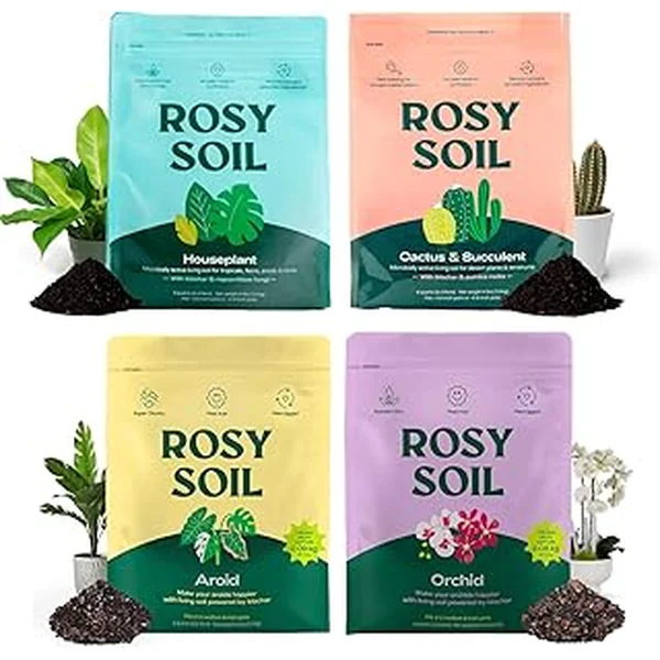 Rosy Soil Indoor Plant Bundle