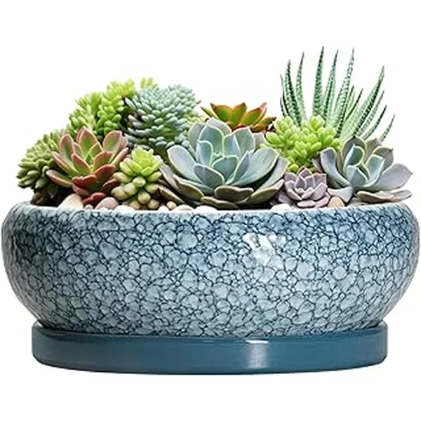 Epfamily Large Succulent Planters Gardening
