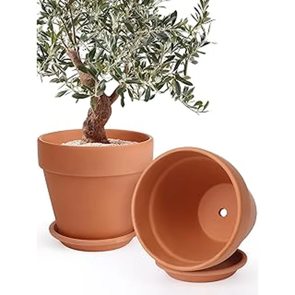 Ingofin Inch Terracotta Pot Saucer